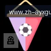 爱游戏体育 logo